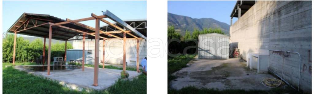 immagine annuncio 3 di 11