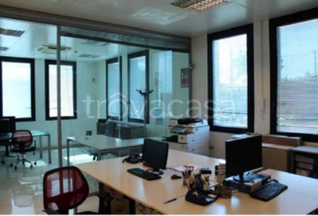 immagine annuncio 10 di 12