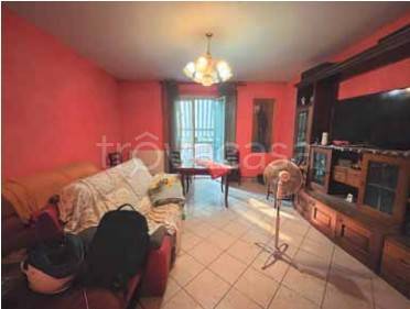 immagine annuncio 4 di 14