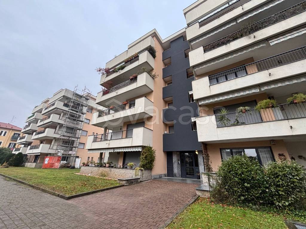 immagine annuncio 1 di 15