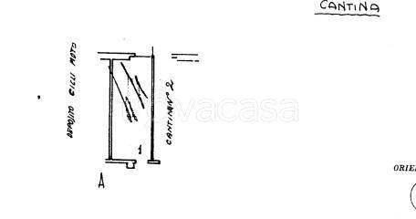 immagine annuncio 12 di 14