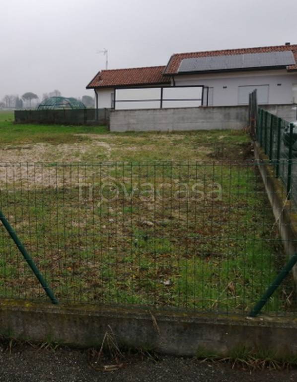 immagine annuncio 11 di 12