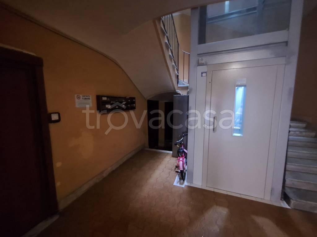 immagine annuncio 4 di 7