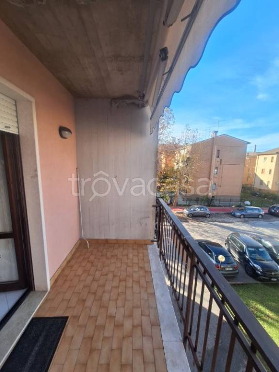 immagine annuncio 12 di 14