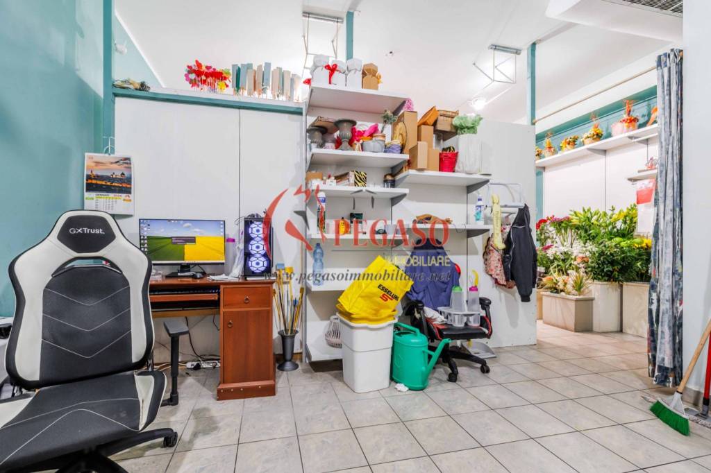 immagine annuncio 9 di 15