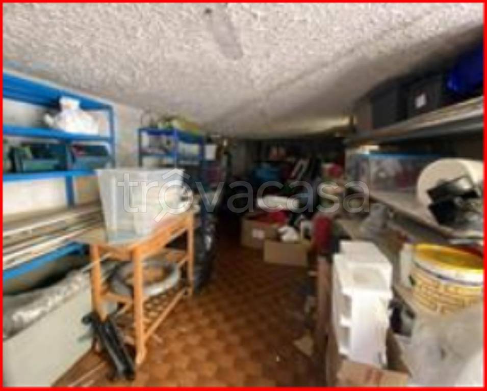 immagine annuncio 11 di 14