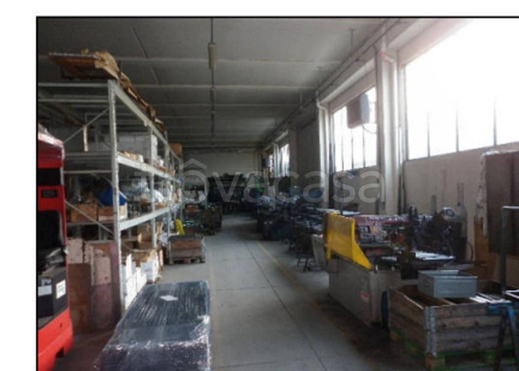 immagine annuncio 2 di 12