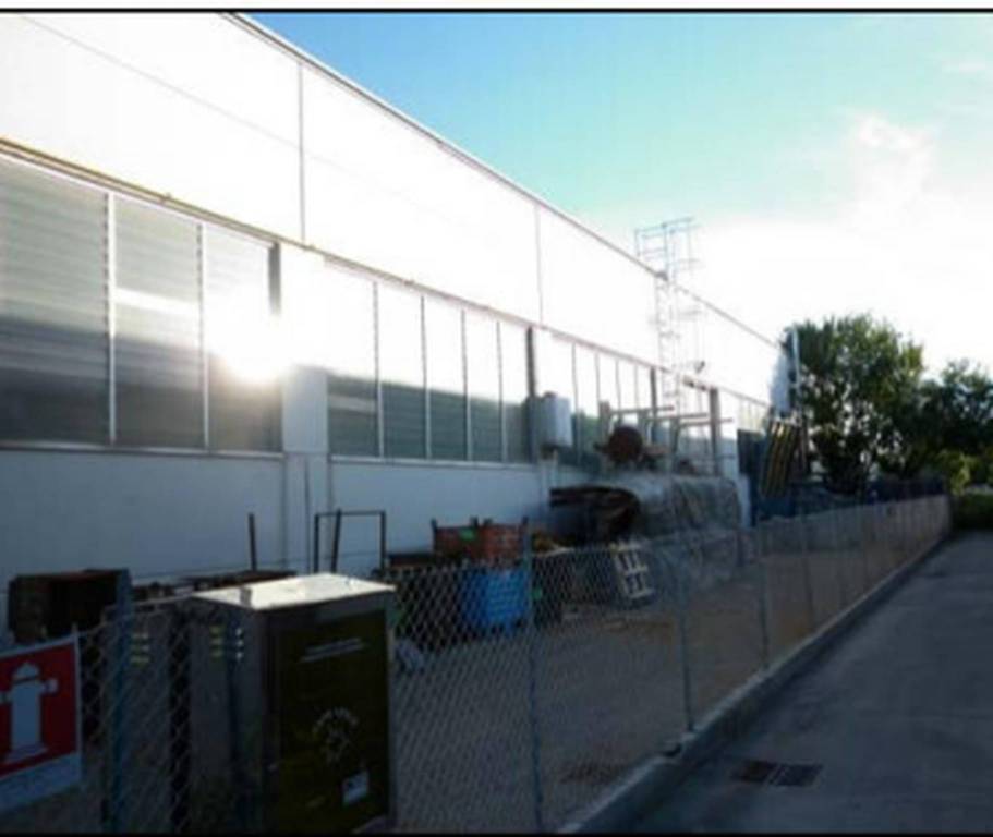 immagine annuncio 4 di 12