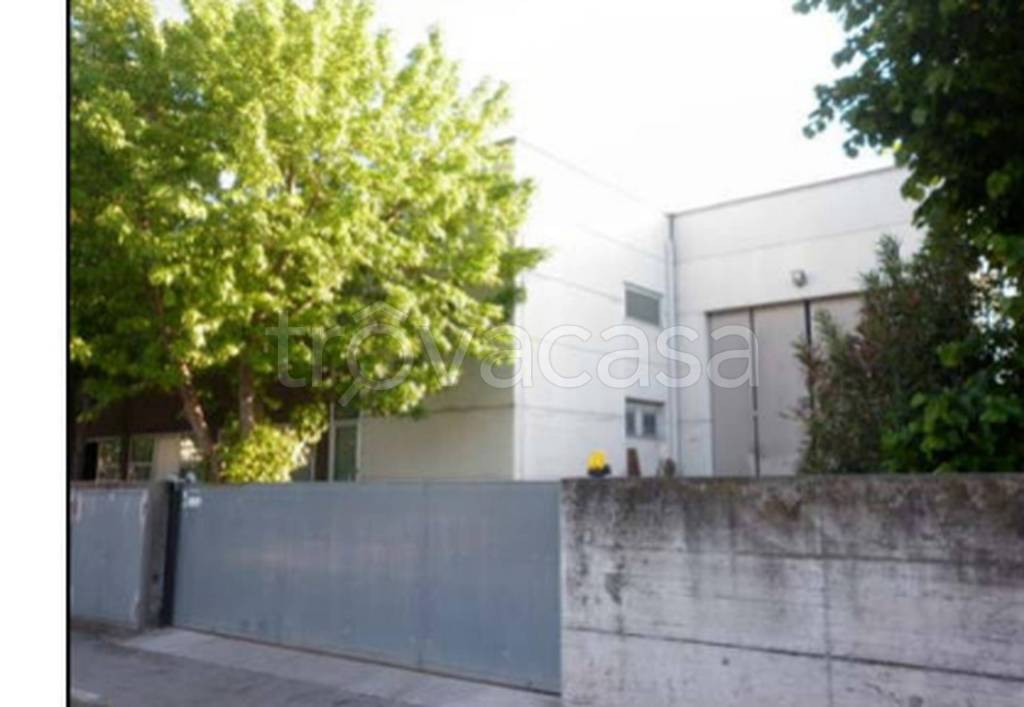 immagine annuncio 7 di 12