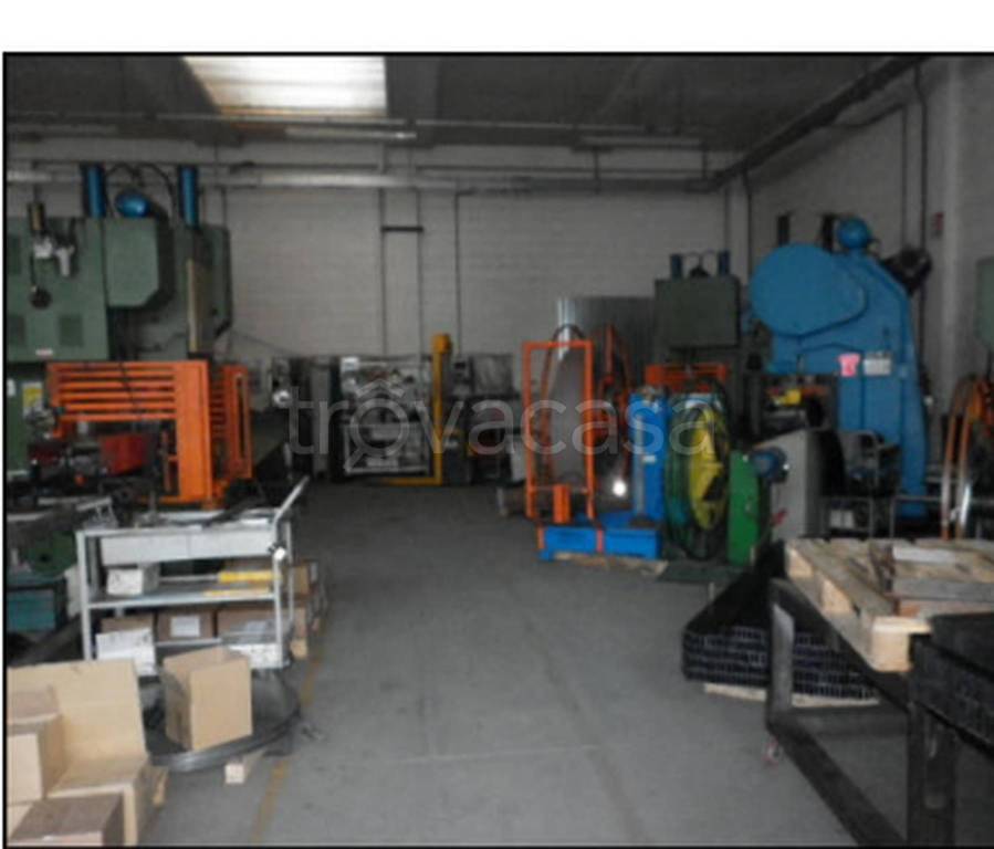 immagine annuncio 9 di 12