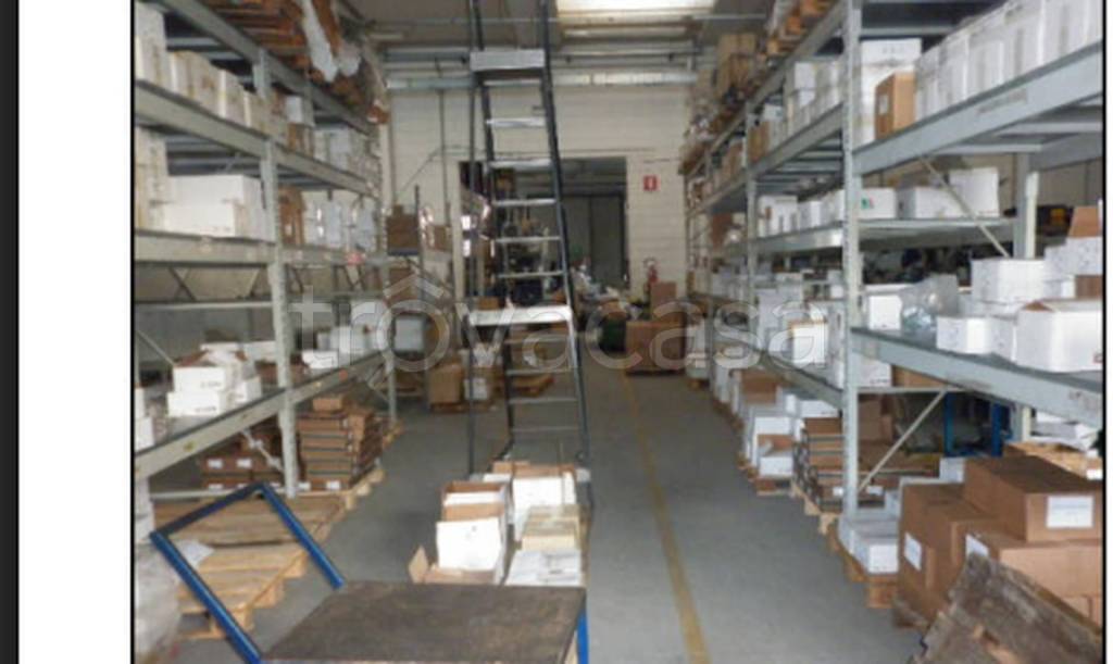 immagine annuncio 11 di 12