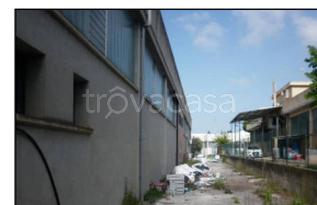 immagine annuncio 6 di 11