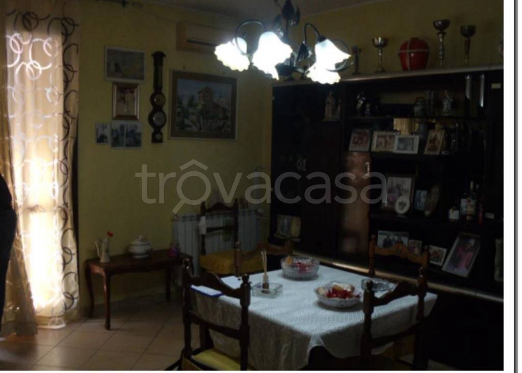 immagine annuncio 10 di 14