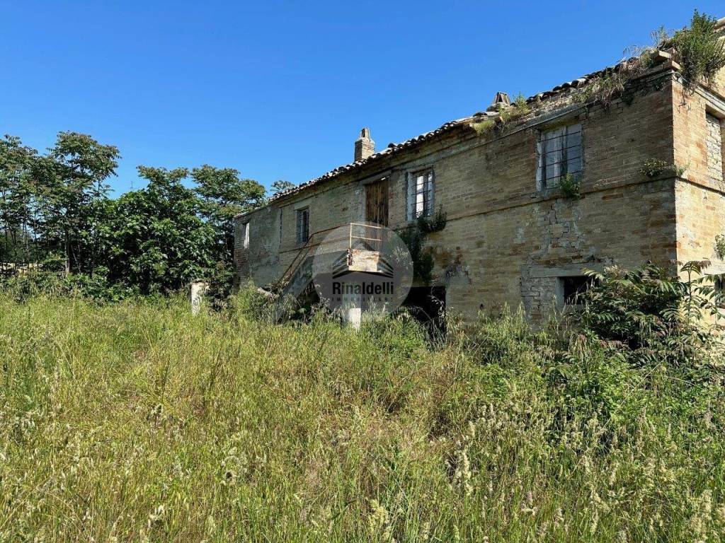 immagine annuncio 3 di 11