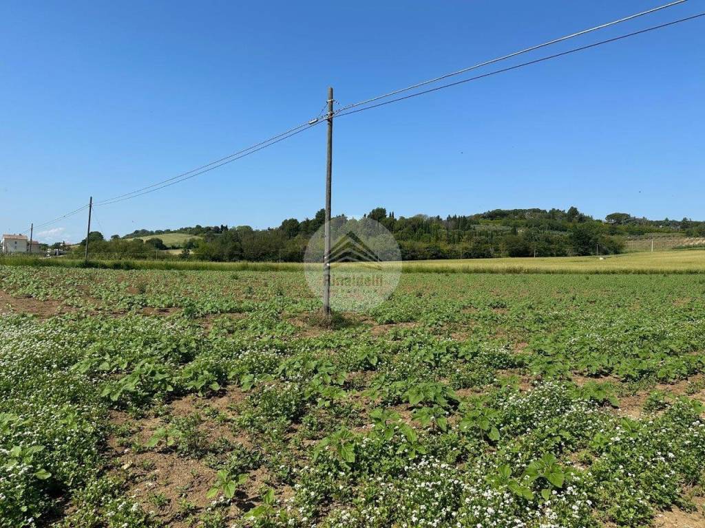 immagine annuncio 8 di 11