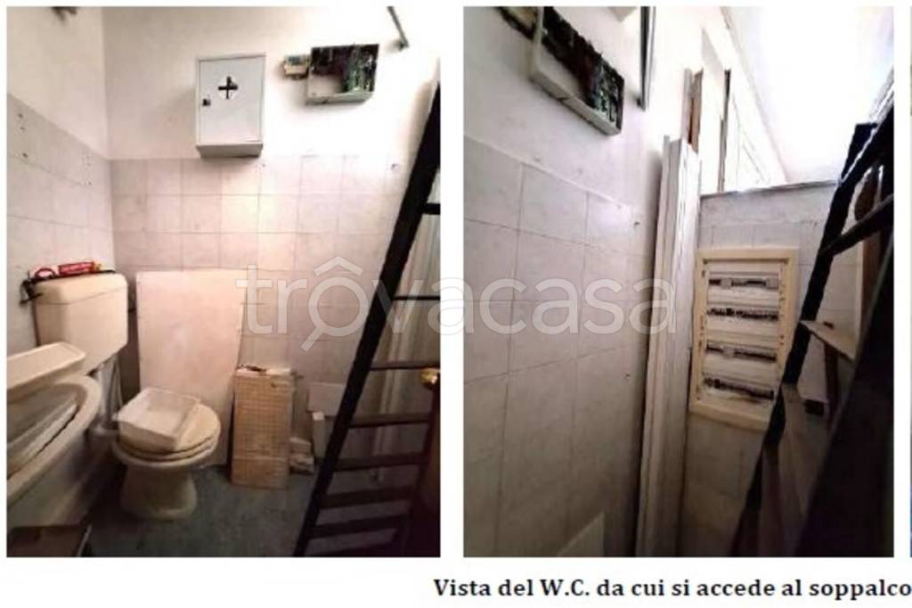 immagine annuncio 2 di 14