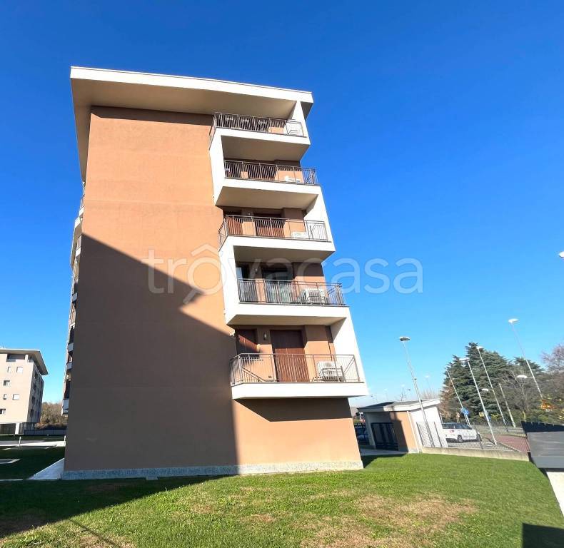 immagine annuncio 3 di 15