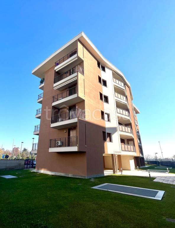 immagine annuncio 5 di 15