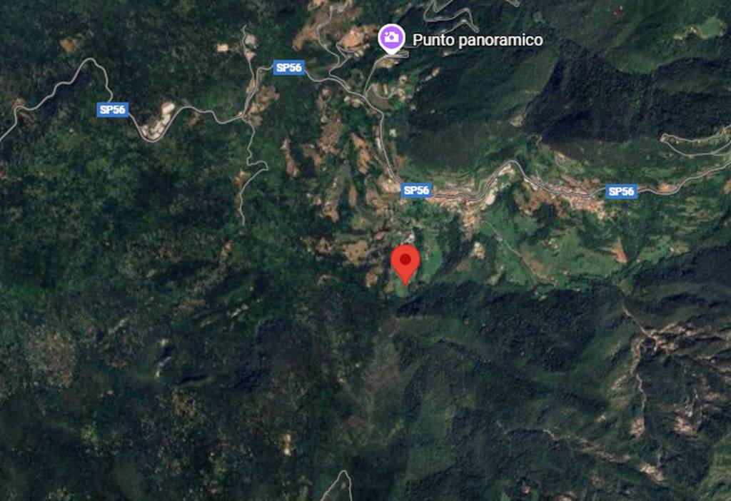 immagine annuncio 6 di 11