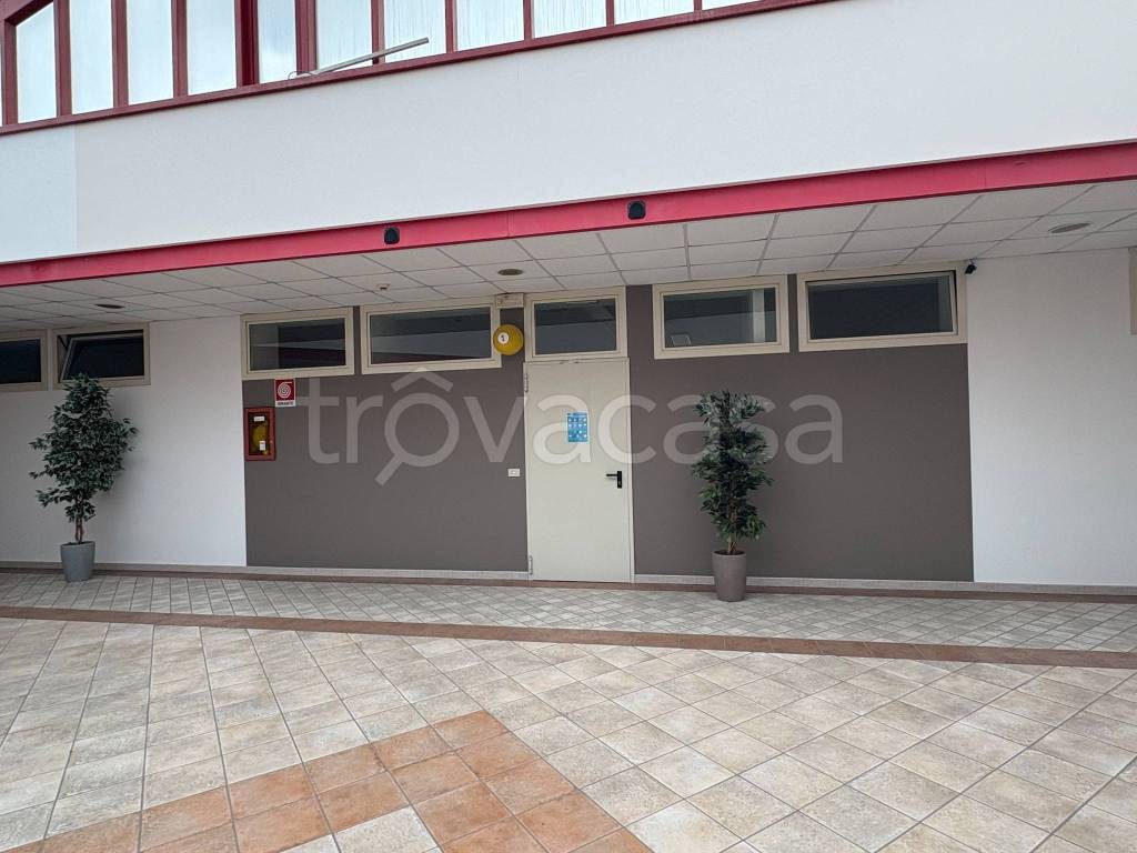 immagine annuncio 11 di 12