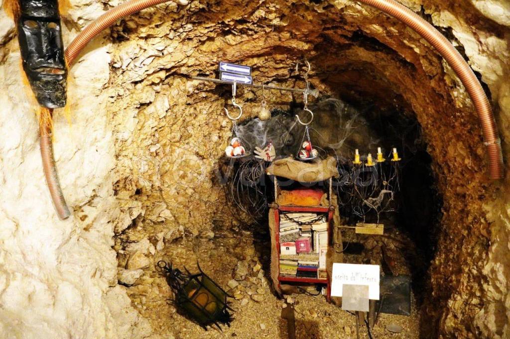 immagine annuncio 7 di 11