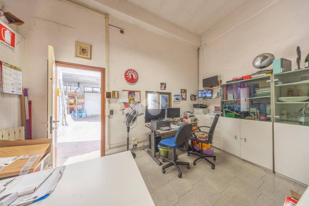 immagine annuncio 11 di 15