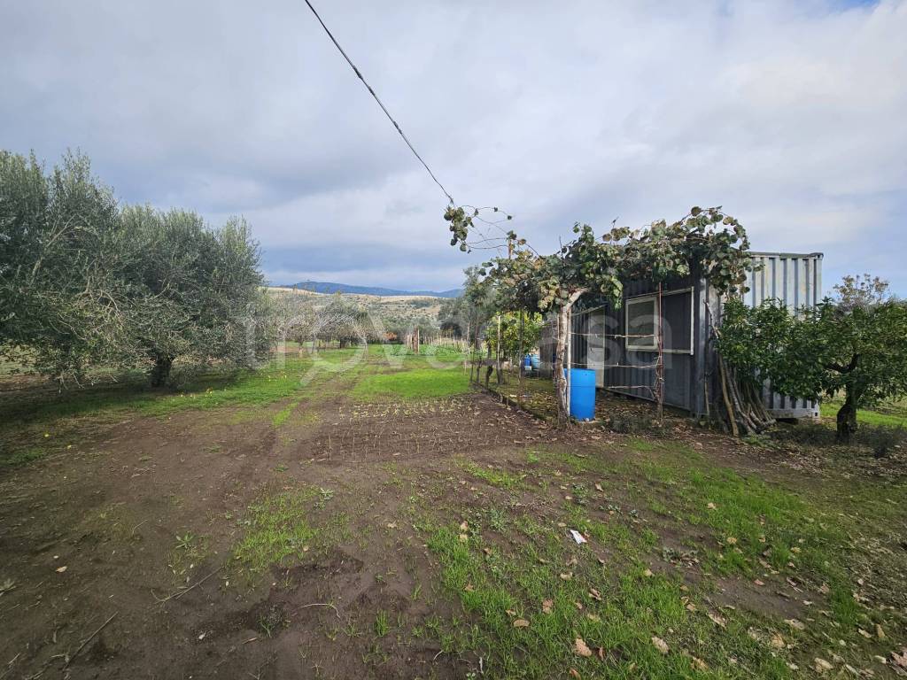 immagine annuncio 1 di 11