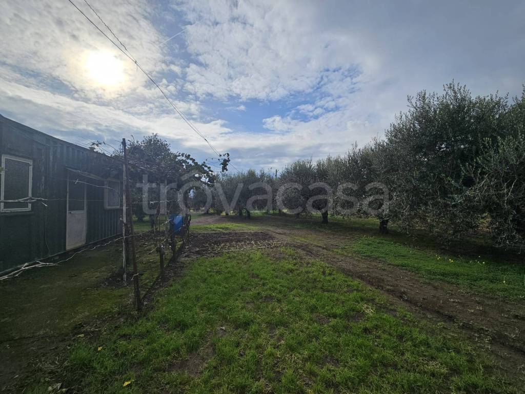 immagine annuncio 6 di 11