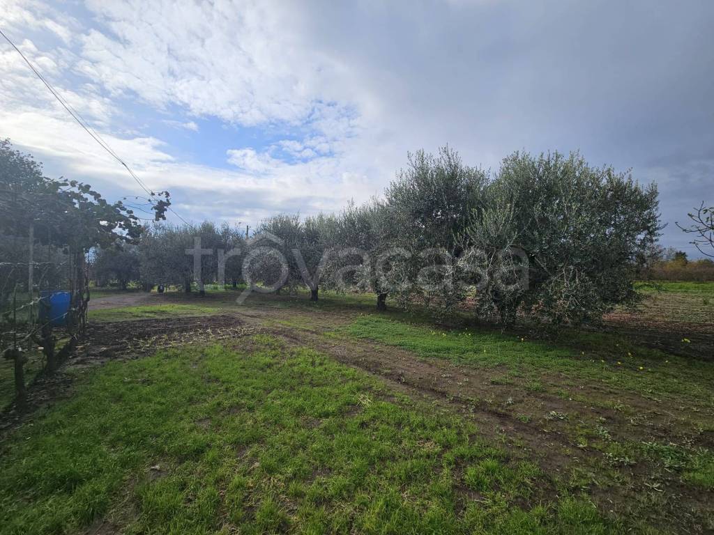 immagine annuncio 7 di 11