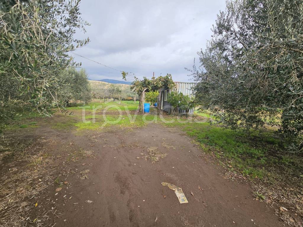 immagine annuncio 8 di 11