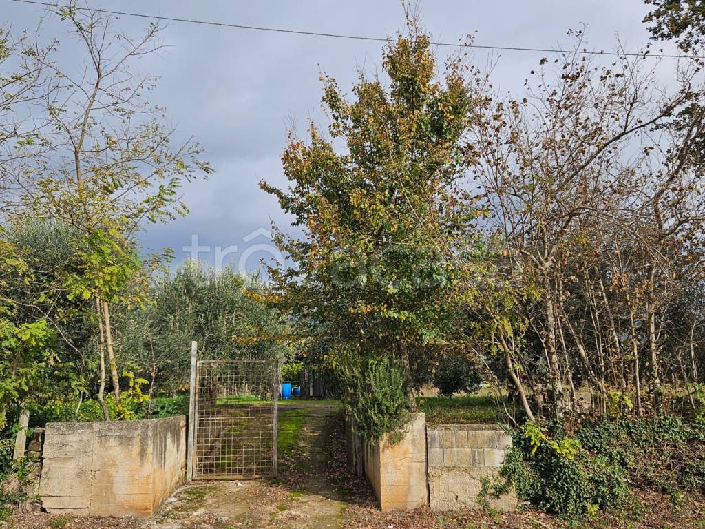 immagine annuncio 9 di 11