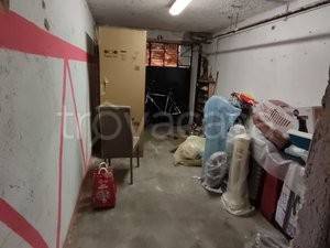 immagine annuncio 12 di 14