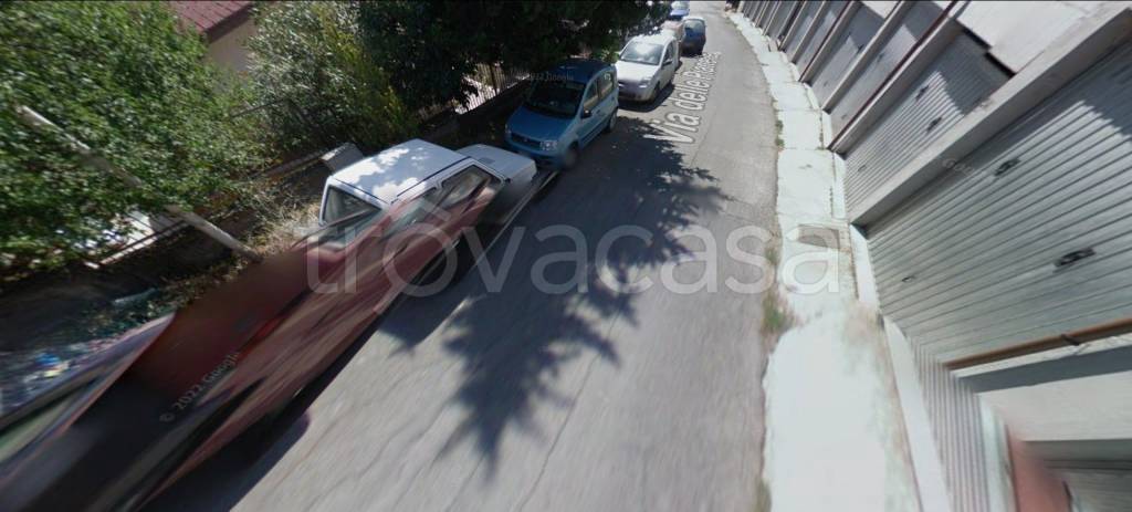 immagine annuncio 6 di 12