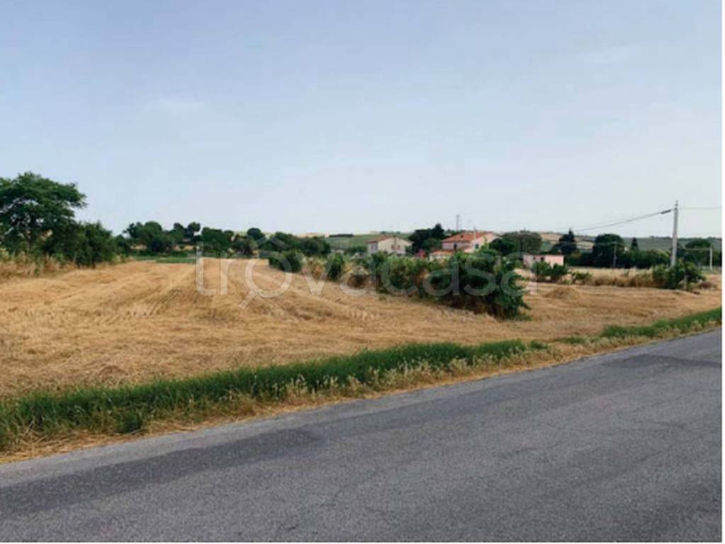 immagine annuncio 4 di 11