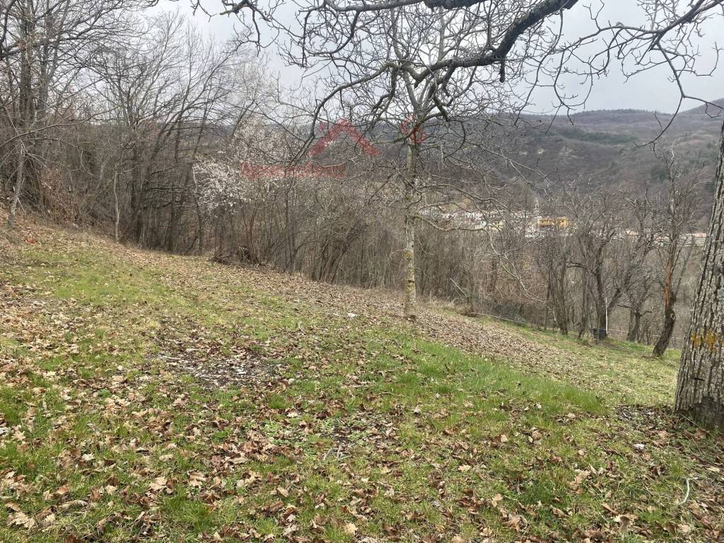 immagine annuncio 11 di 14