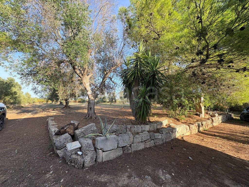 immagine annuncio 4 di 8