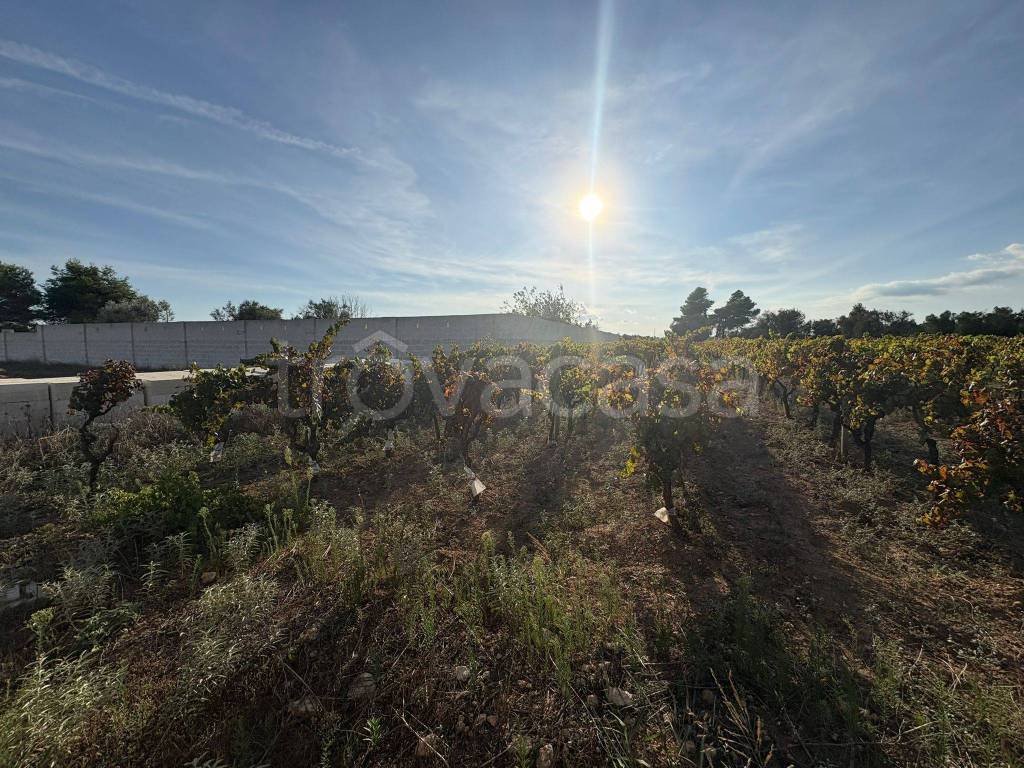 immagine annuncio 5 di 8