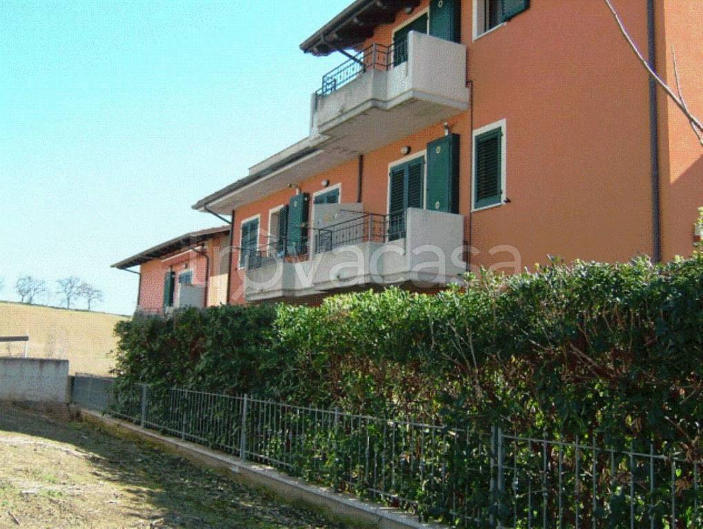 immagine annuncio 9 di 12