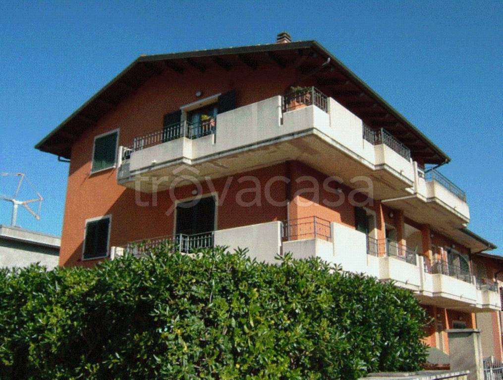 immagine annuncio 10 di 12