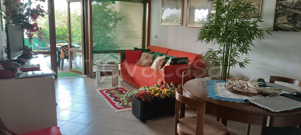 immagine annuncio 12 di 15