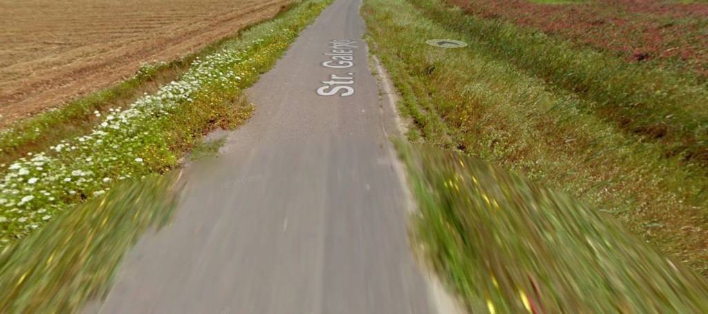 immagine annuncio 1 di 11