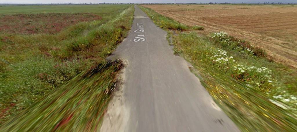 immagine annuncio 7 di 11