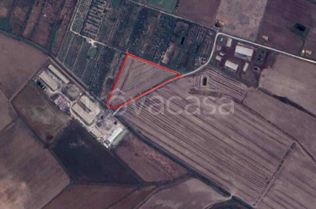 immagine annuncio 10 di 11