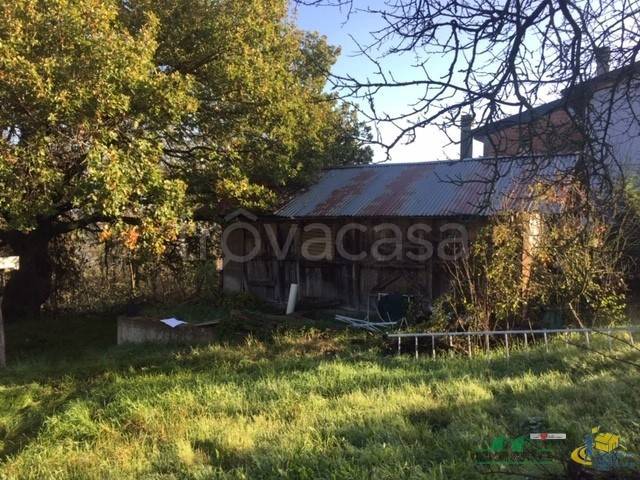 immagine annuncio 1 di 8