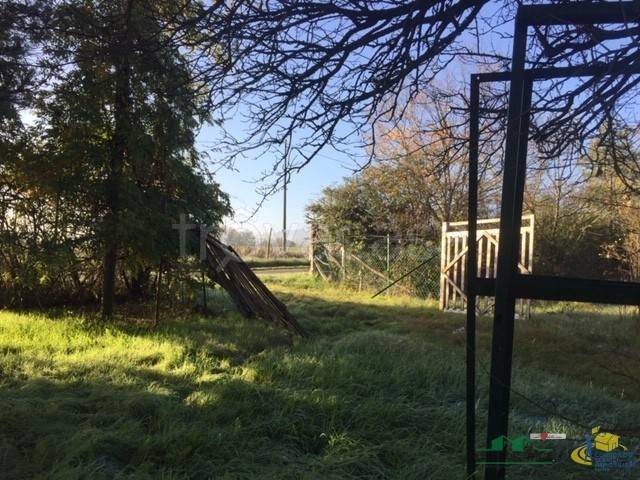 immagine annuncio 5 di 8