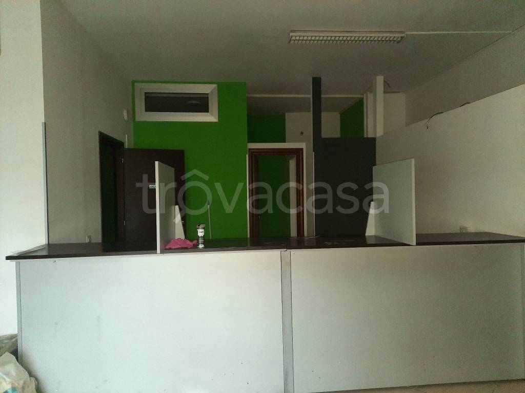 immagine annuncio 2 di 8