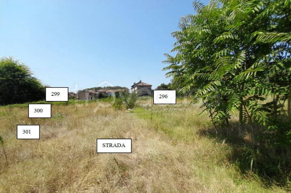 immagine annuncio 9 di 14