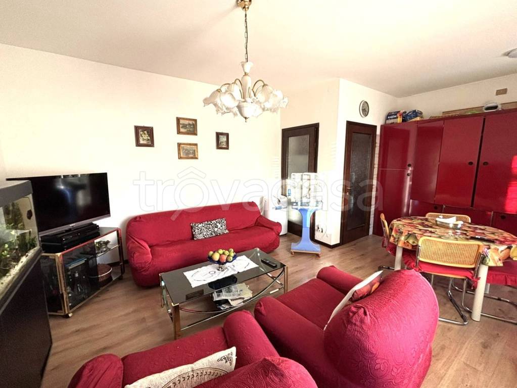 immagine annuncio 1 di 6