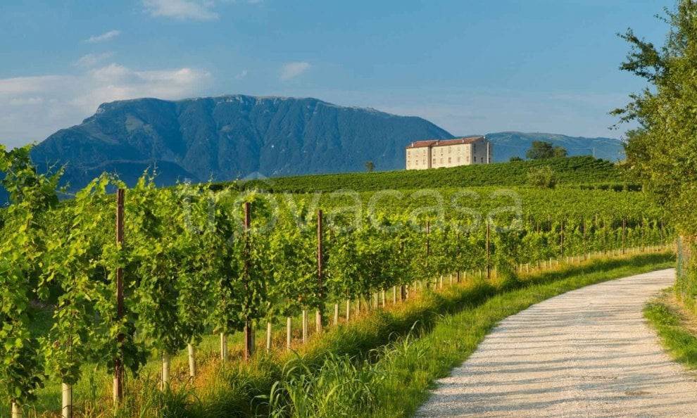 immagine annuncio 2 di 6