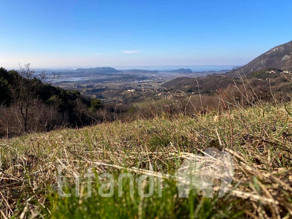 immagine annuncio 3 di 8